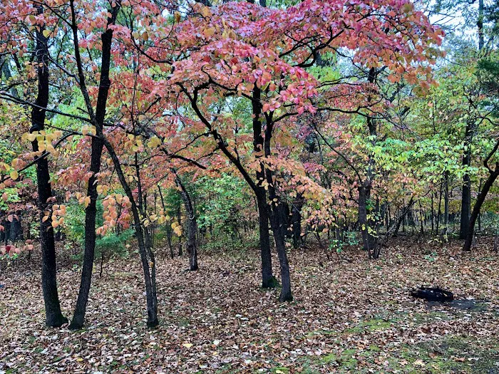 Osage Beach RV Park Picture 10