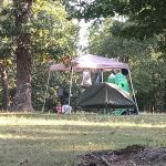 Old Bluegrass Campground