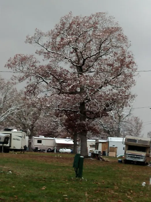 Old Bluegrass Campground Picture 7