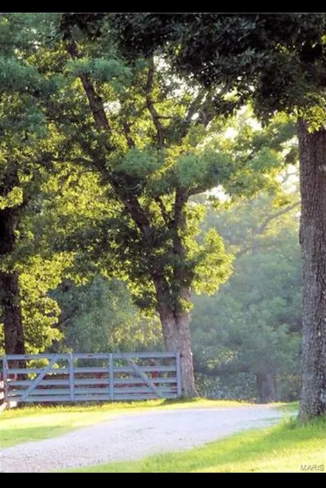 Old Bluegrass Campground Picture 9