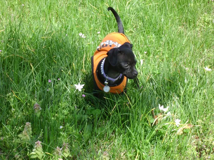 Osceola RV Park Picture 6