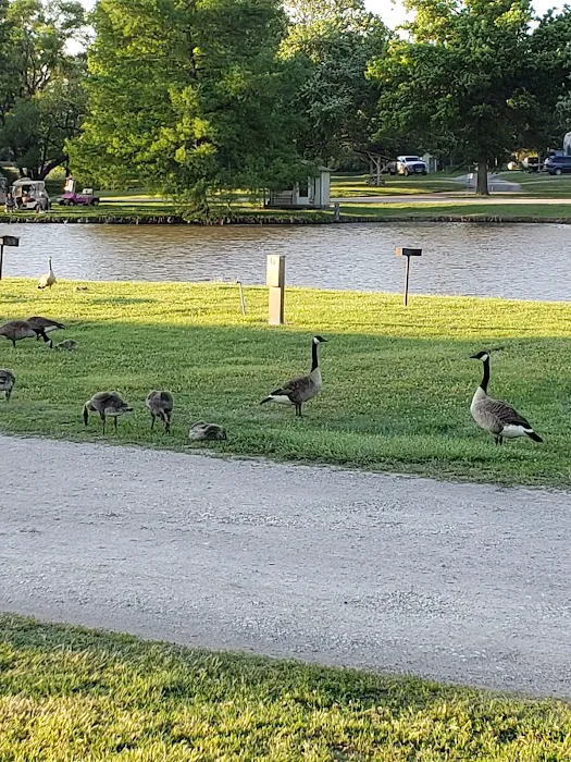 Wichita Spring Lake RV Resort Picture 8
