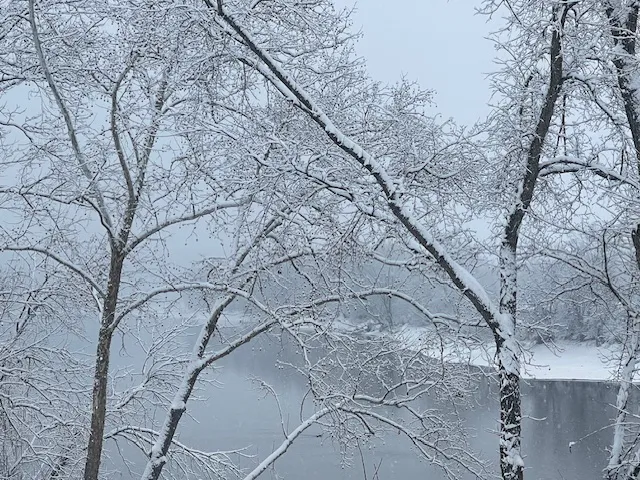 Lazy River “The Best Dam Campground in the Ozarks” Picture 10