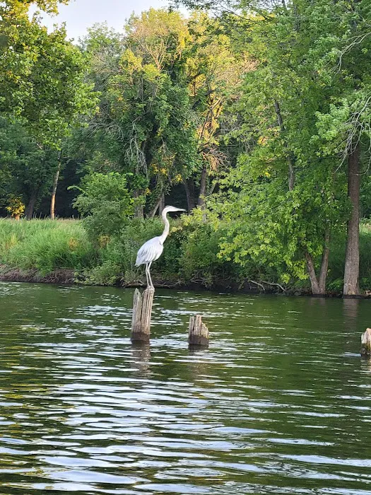 Osage River RV Camping Picture 5