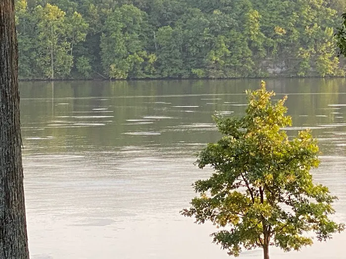 Sunny Beach RV Resort Picture 3