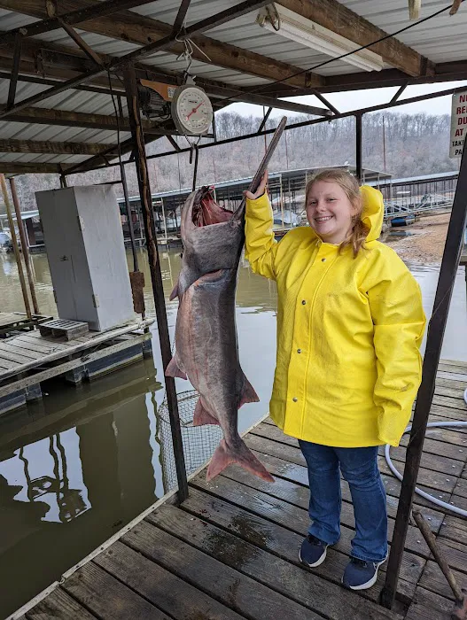 Ravae's RV Resort Picture 4