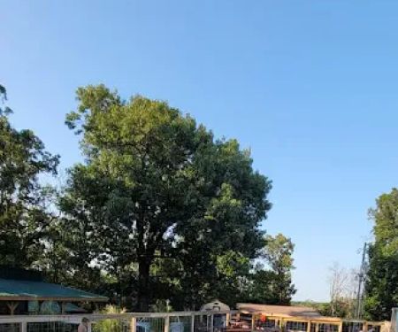 The Last Resort RV Park