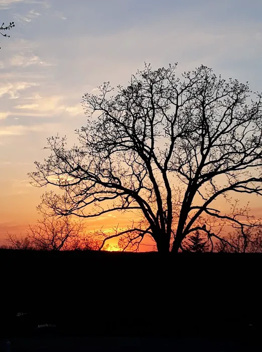 DJ's RV Park, LLC Picture 1