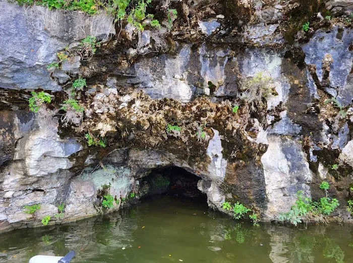 Santa Fe Springs Rv Park Picture 8