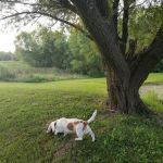 Reed's RV Park & Storage