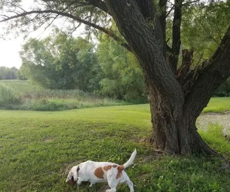 Reed's RV Park & Storage