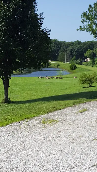 Reed's RV Park & Storage Picture 4