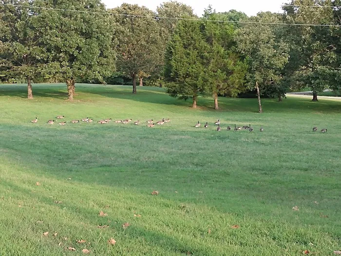 Oasis at Ozark Park - RV & Mobile Home Park Picture 4