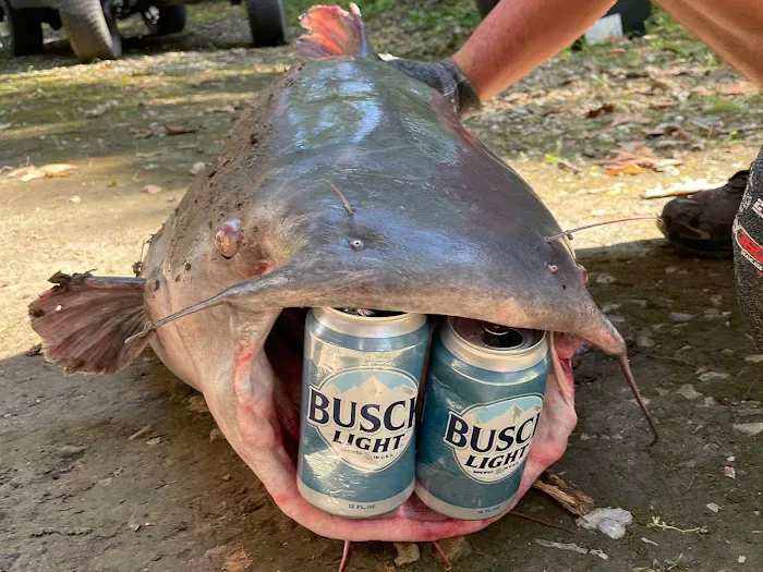 Krebs Mobile Home Living-Tally Picture 4