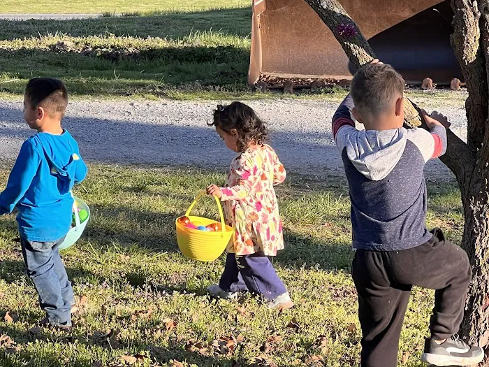 Lakeview RV Park Picture 6