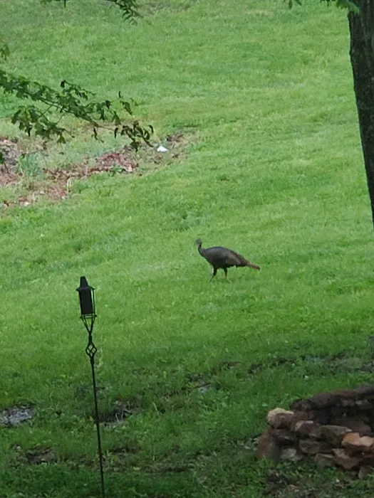 Anglers Retreat RV Park Picture 4