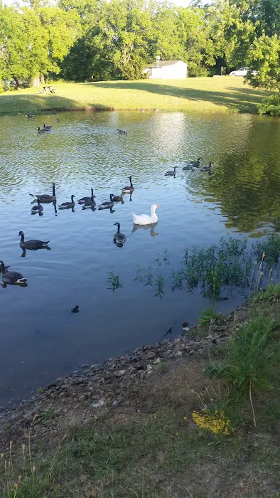 Waterfront RV Park Picture 2