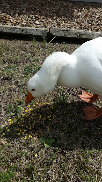 Waterfront RV Park Picture 3