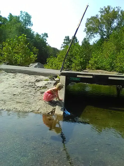 Waterfront RV Park Picture 4