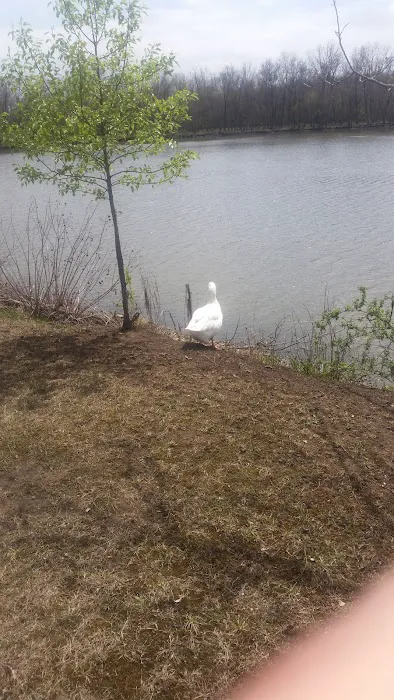 Waterfront RV Park Picture 9