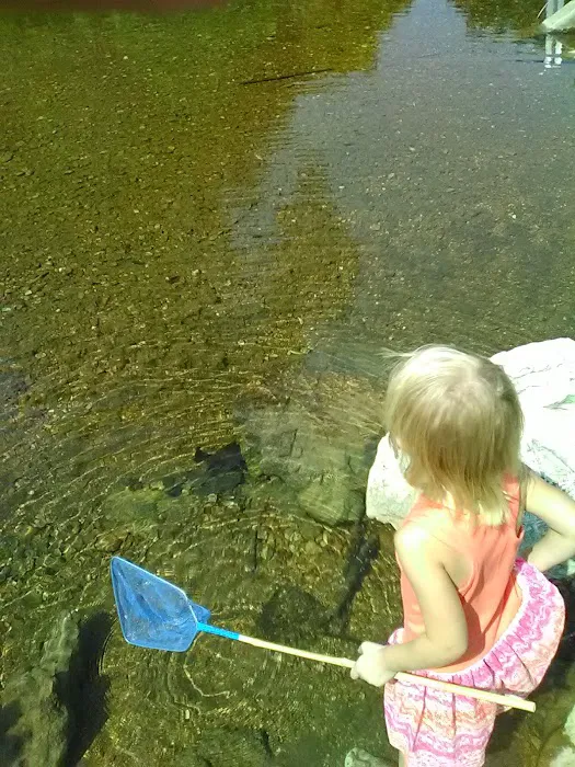 Waterfront RV Park Picture 7