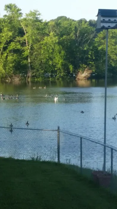 Waterfront RV Park Picture 8