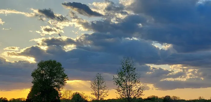 Honey Hole RV Resort Picture 4