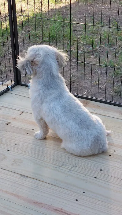 Honey Hole RV Resort Picture 5