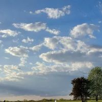 Honey Hole RV Resort ico