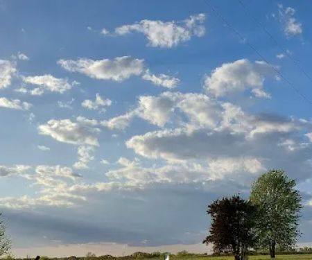 Honey Hole RV Resort