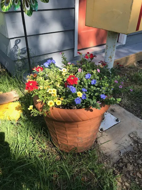 Cottonwood Grove RV Campground Picture 3