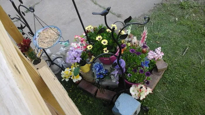 Flamingo Flats Mobile Home & RV Park Picture 9