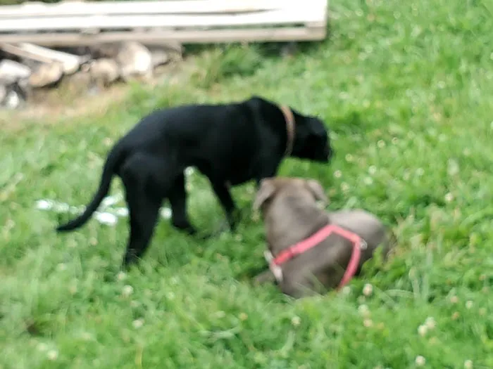 Sharon Kay Picture 2