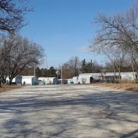 Pear Tree Community ico