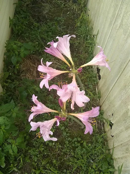 Sleepy Hollow Mobile Home Park Picture 1