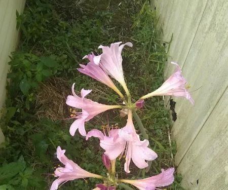 Sleepy Hollow Mobile Home Park