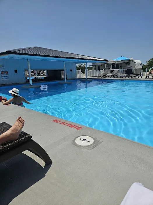 Coconuts RV Resort Picture 1