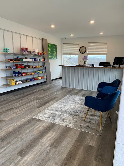 Coconuts RV Resort Picture 8