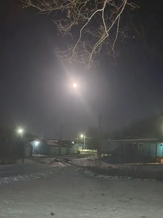 Spring Branch Park Picture 10