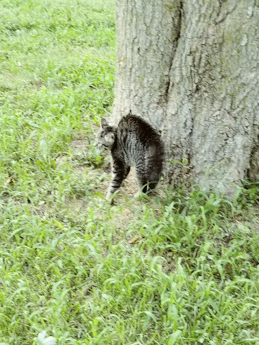 Doolittle Mobile Home Park Picture 5