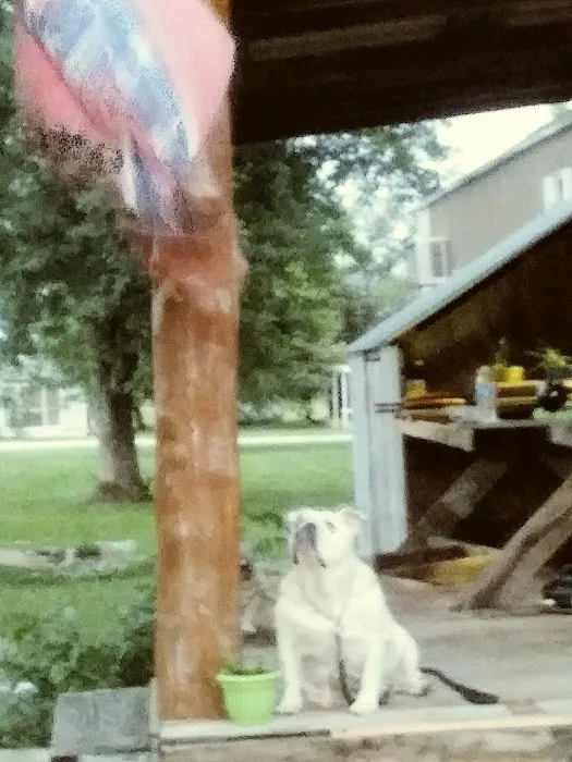 Doolittle Mobile Home Park Picture 10