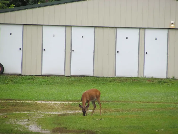 Hoot N Hollar RV Park Picture 1