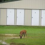 Hoot N Hollar RV Park