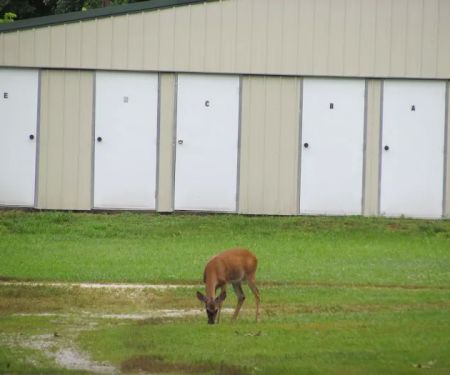 Hoot N Hollar RV Park