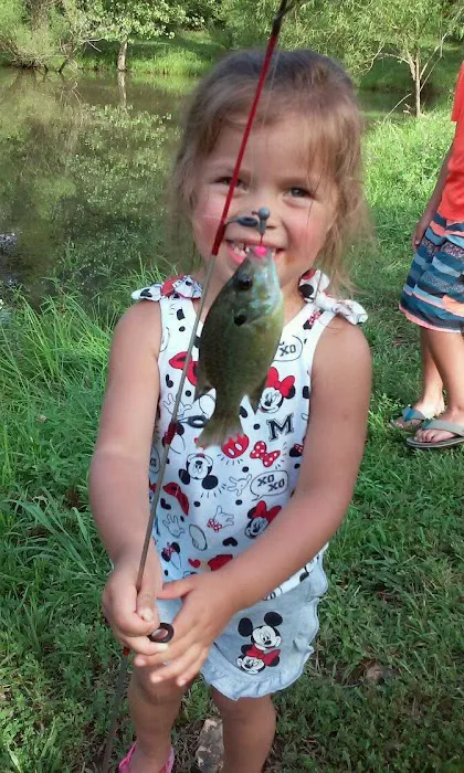 Clear Creek RV Park and Storage Center Picture 4