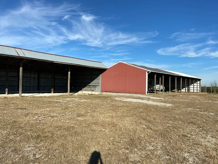 Lake Life Family RV Resort Picture 4