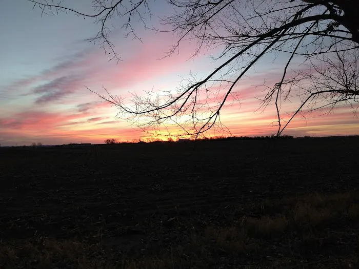 East View Village LLC Picture 1