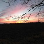 East View Village LLC