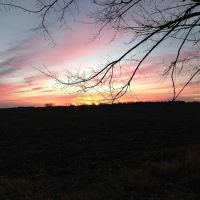 East View Village LLC ico