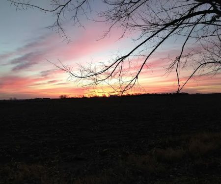 East View Village LLC